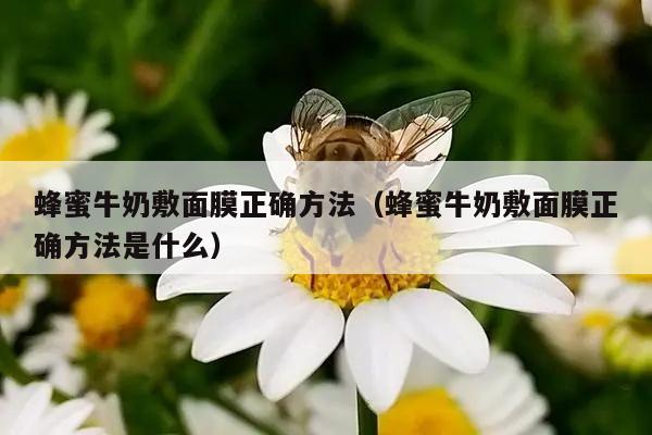 蜂蜜牛奶敷面膜正确方法（蜂蜜牛奶敷面膜正确方法是什么）