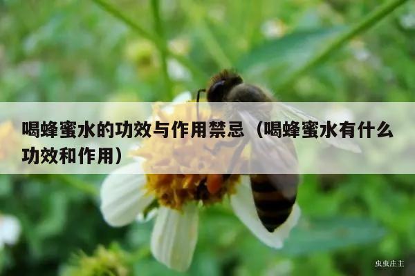 喝蜂蜜水的功效与作用禁忌（喝蜂蜜水有什么功效和作用）