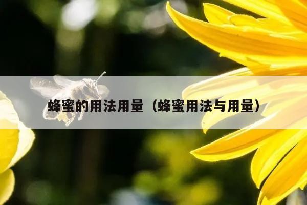 蜂蜜的用法用量（蜂蜜用法与用量）