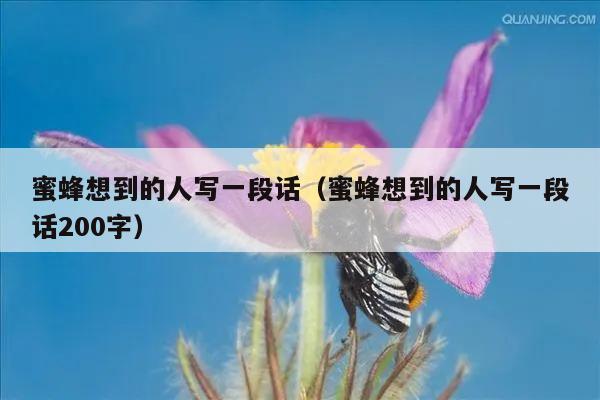 蜜蜂想到的人写一段话（蜜蜂想到的人写一段话200字）