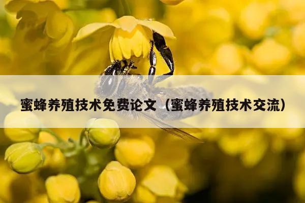 蜜蜂养殖技术免费论文（蜜蜂养殖技术交流）