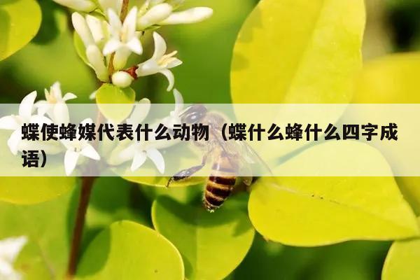 蝶使蜂媒代表什么动物（蝶什么蜂什么四字成语）