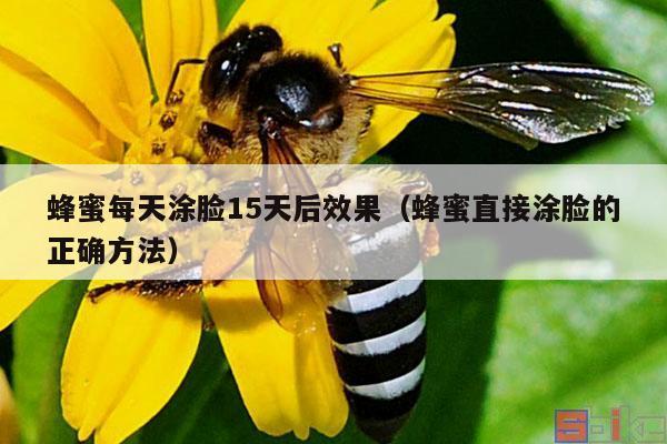 蜂蜜每天涂脸15天后效果（蜂蜜直接涂脸的正确方法）