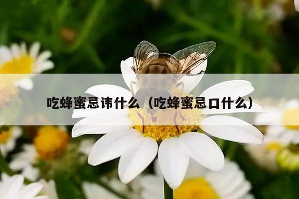 吃蜂蜜忌讳什么（吃蜂蜜忌口什么）