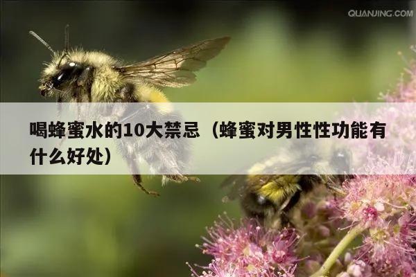 喝蜂蜜水的10大禁忌（蜂蜜对男性性功能有什么好处）