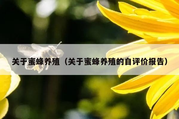 关于蜜蜂养殖（关于蜜蜂养殖的自评价报告）