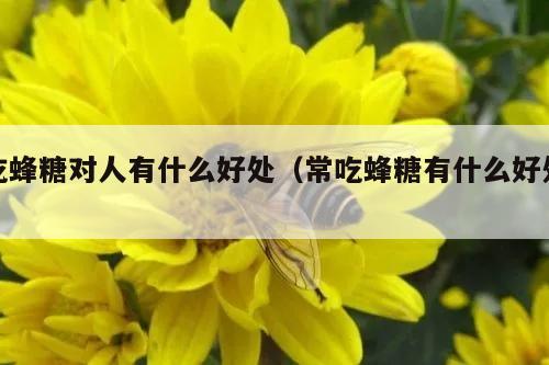 吃蜂糖对人有什么好处（常吃蜂糖有什么好处）