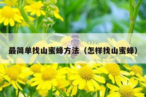 最简单找山蜜蜂方法（怎样找山蜜蜂）