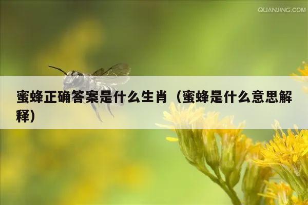 蜜蜂正确答案是什么生肖（蜜蜂是什么意思解释）