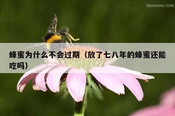 蜂蜜为什么不会过期（放了七八年的蜂蜜还能吃吗）