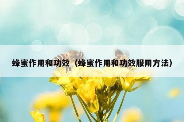 蜂蜜作用和功效（蜂蜜作用和功效服用方法）