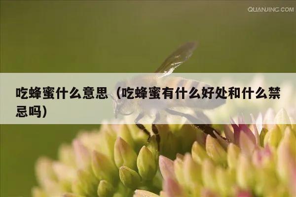 吃蜂蜜什么意思（吃蜂蜜有什么好处和什么禁忌吗）