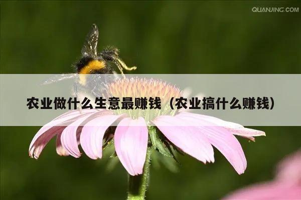 农业做什么生意最赚钱（农业搞什么赚钱）