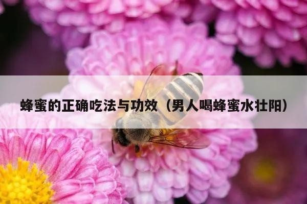 蜂蜜的正确吃法与功效（男人喝蜂蜜水壮阳）