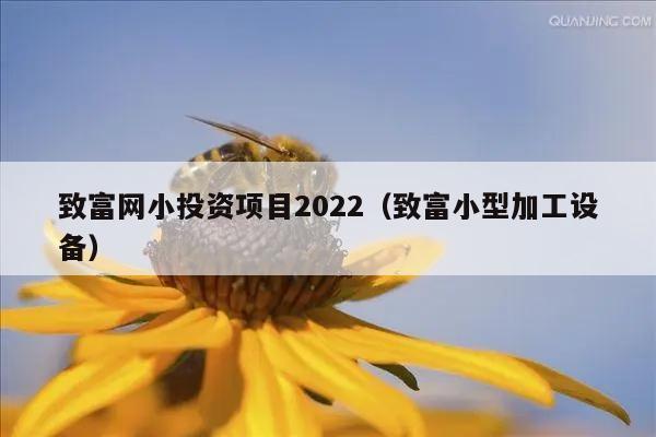 致富网小投资项目2022（致富小型加工设备）