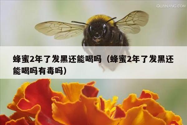 蜂蜜2年了发黑还能喝吗（蜂蜜2年了发黑还能喝吗有毒吗）