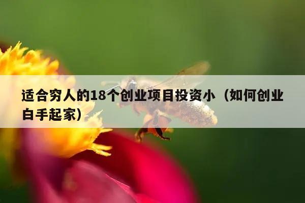 适合穷人的18个创业项目投资小（如何创业白手起家）