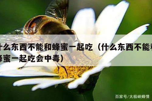 什么东西不能和蜂蜜一起吃（什么东西不能和蜂蜜一起吃会中毒）