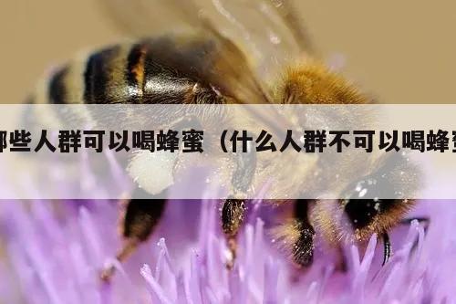 哪些人群可以喝蜂蜜（什么人群不可以喝蜂蜜）