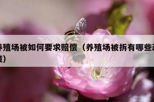 养殖场被如何要求赔偿（养殖场被拆有哪些政策）