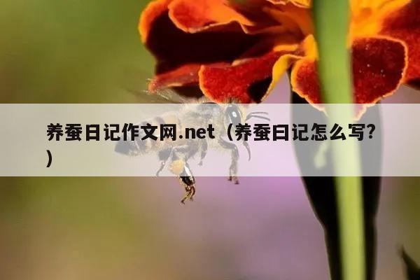 养蚕日记作文网.net（养蚕曰记怎么写?）