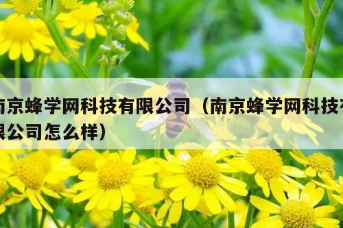 南京蜂学网科技有限公司（南京蜂学网科技有限公司怎么样）