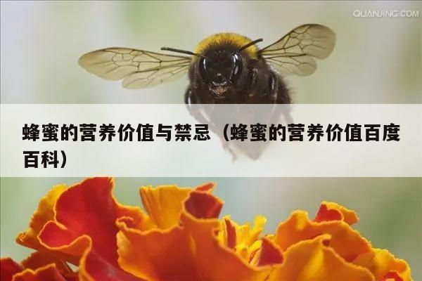 蜂蜜的营养价值与禁忌（蜂蜜的营养价值百度百科）