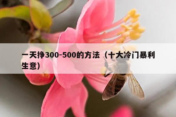 一天挣300-500的方法（十大冷门暴利生意）