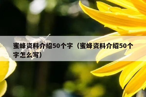 蜜蜂资料介绍50个字（蜜蜂资料介绍50个字怎么写）