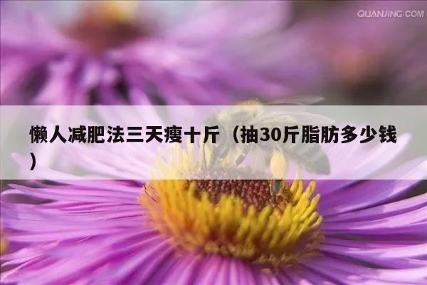 懒人减肥法三天瘦十斤（抽30斤脂肪多少钱）