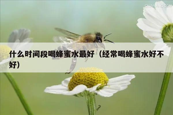 什么时间段喝蜂蜜水最好（经常喝蜂蜜水好不好）