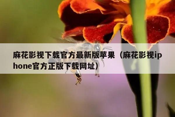 麻花影视下载官方最新版苹果（麻花影视iphone官方正版下载网址）