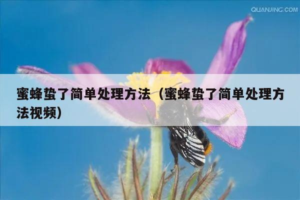 蜜蜂蛰了简单处理方法（蜜蜂蛰了简单处理方法视频）