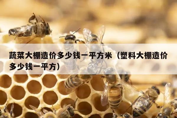 蔬菜大棚造价多少钱一平方米（塑料大棚造价多少钱一平方）