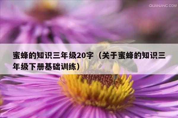 蜜蜂的知识三年级20字（关于蜜蜂的知识三年级下册基础训练）