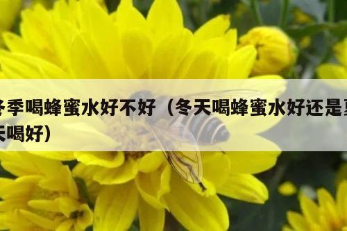 冬季喝蜂蜜水好不好（冬天喝蜂蜜水好还是夏天喝好）