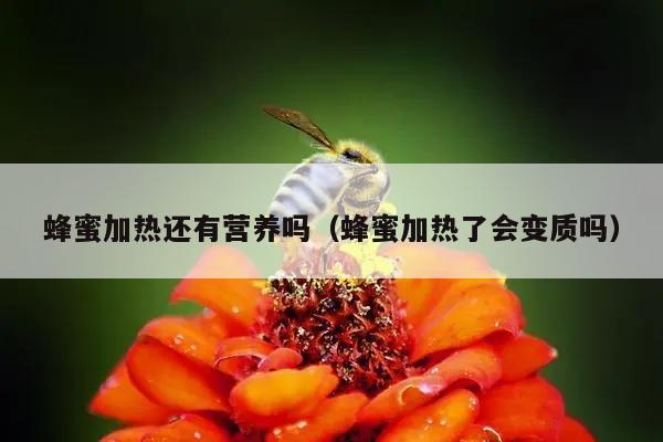 蜂蜜加热还有营养吗（蜂蜜加热了会变质吗）