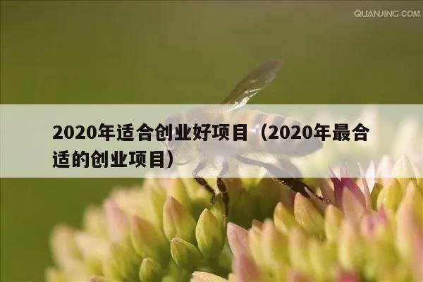 2020年适合创业好项目（2020年最合适的创业项目）