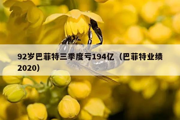 92岁巴菲特三季度亏194亿（巴菲特业绩2020）