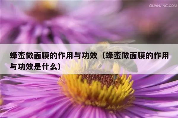 蜂蜜做面膜的作用与功效（蜂蜜做面膜的作用与功效是什么）