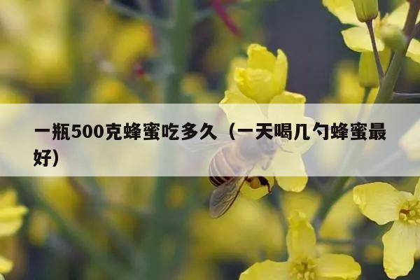 一瓶500克蜂蜜吃多久（一天喝几勺蜂蜜最好）