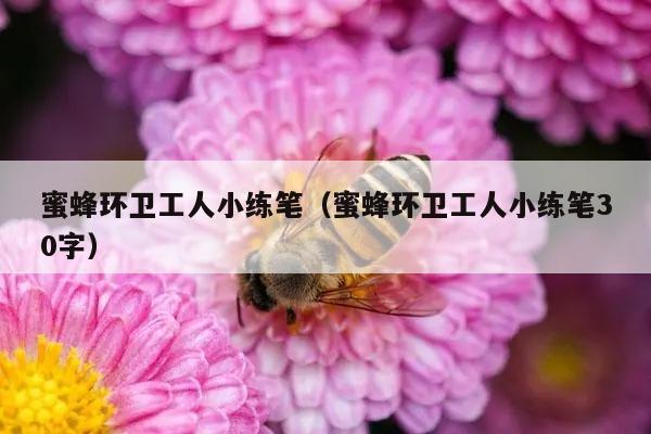 蜜蜂环卫工人小练笔（蜜蜂环卫工人小练笔30字）