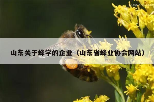 山东关于蜂学的企业（山东省蜂业协会网站）