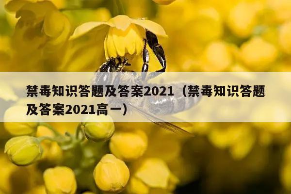 禁毒知识答题及答案2021（禁毒知识答题及答案2021高一）