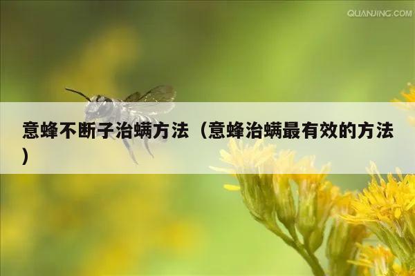 意蜂不断子治螨方法（意蜂治螨最有效的方法）