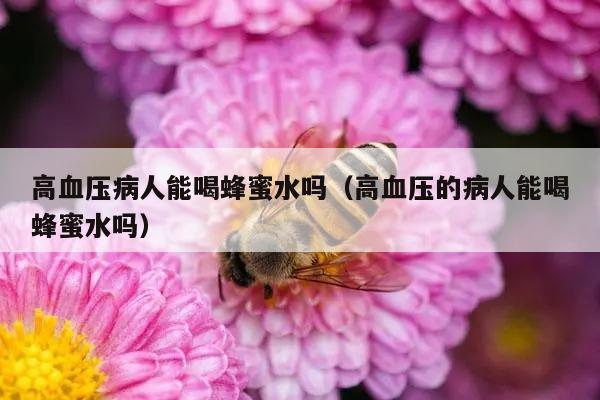 高血压病人能喝蜂蜜水吗（高血压的病人能喝蜂蜜水吗）