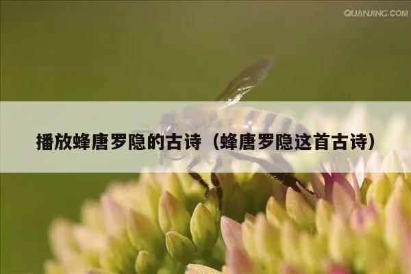 播放蜂唐罗隐的古诗（蜂唐罗隐这首古诗）