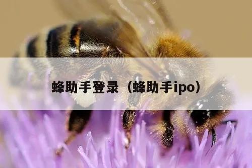 蜂助手登录（蜂助手ipo）