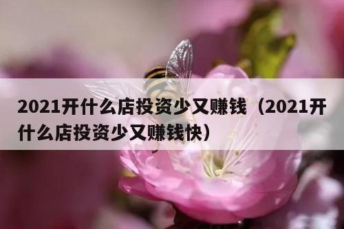 2021开什么店投资少又赚钱（2021开什么店投资少又赚钱快）