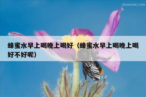 蜂蜜水早上喝晚上喝好（蜂蜜水早上喝晚上喝好不好呢）